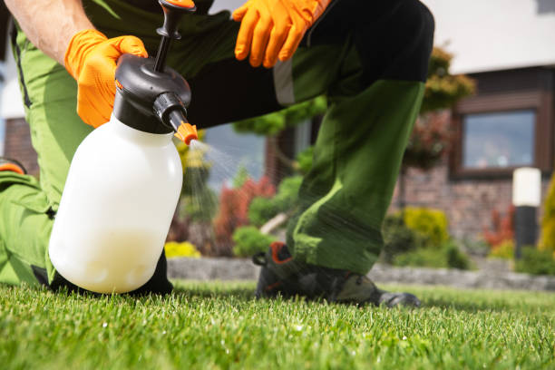 Best Pest Removal Services  in South Barrington, IL