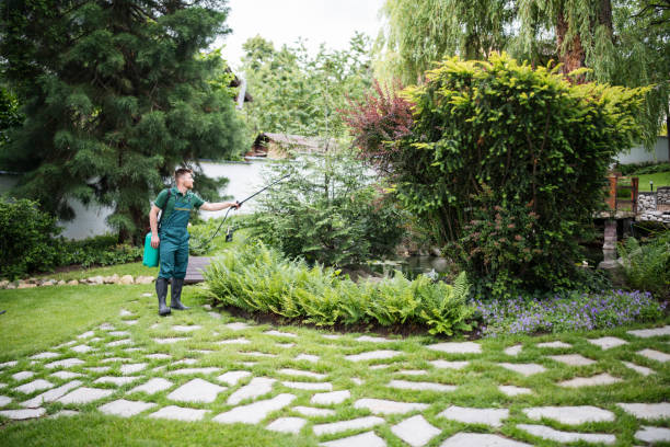 Best Pest Control Near Me in South Barrington, IL