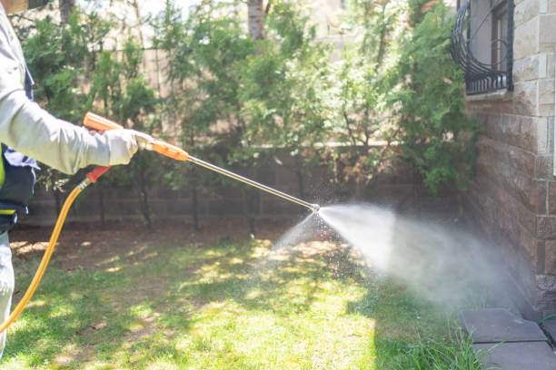 Best Bed Bug Extermination  in South Barrington, IL