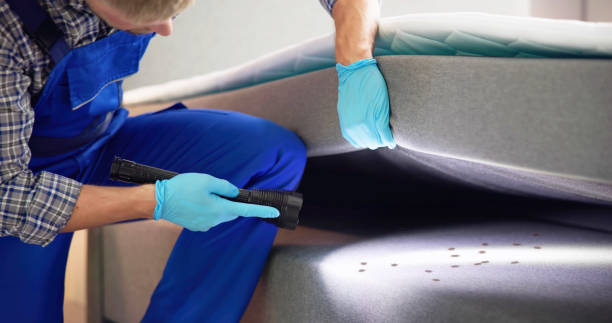 Best Pest Control Cost  in South Barrington, IL
