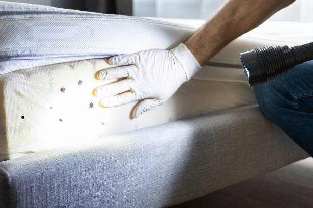 Best Mosquito Control Services  in South Barrington, IL