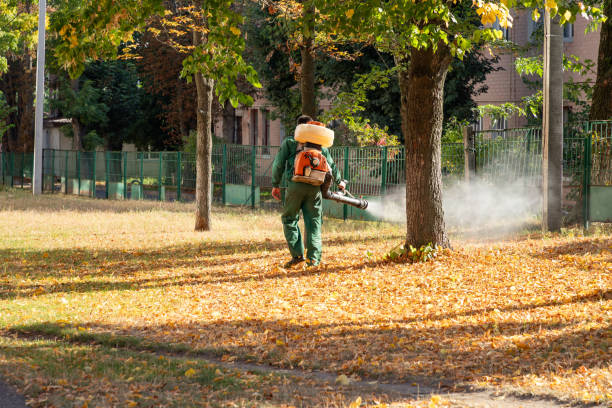 Best Rodent Control Near Me  in South Barrington, IL