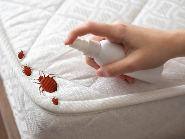 Best Pest Inspection Near Me  in South Barrington, IL