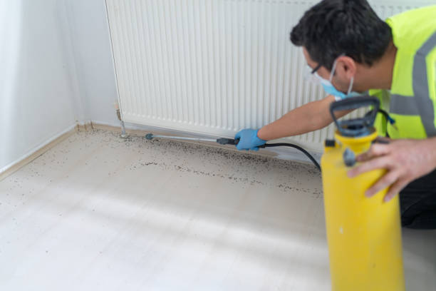 Trusted South Barrington, IL Pest Control Experts